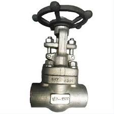 A182 F304 800lb DN15 Manual Globe Valve with Socket Welding End