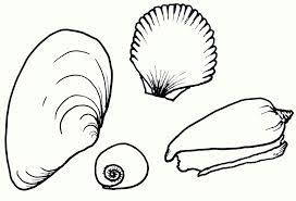 Sort free coloring pages by theme, show, or song. Free Printable Seashell Coloring Pages For Kids