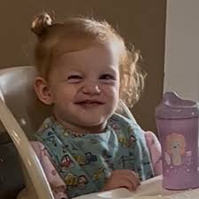 Weaning piglets at 24-28 days: causes of decline?