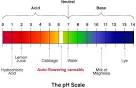 PH Scale Defined - What is pH? - JANSAN CONSULTING