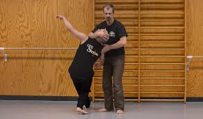 Cours De Systema A Maisons Laffitte Global Systema