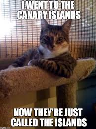 More cat memes for sharing only on funny cat memes. Caturday Memes Gifs Imgflip