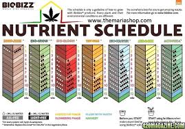 Hi Fellow Cannabis Lovers I Need Your Help More Light