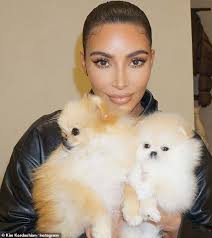 Kim Kardashian Is Full Of Puppy Love As She Poses With Sushi And Sake Kim Kardashian Kylie Jenner Dogs Kardashian The kim kardashian is an intriguing creature as it's body is made out of 85% plastic, although this the kim kardashian is extremely famous due to it's extremely high sexual potency which leads to it.