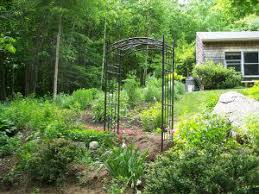 Clematis mesh, clematis netting, in green or brown both a metre high. Supporting Your Clematis