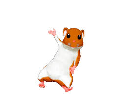 /ɡɪf/ ghif or /dʒɪf/ jif) is a bitmap image format that was developed by a team at the online services provider compuserve led by american computer scientist. Hamsters Gifs 110 Animated Gif Images Of Hamsters For Free