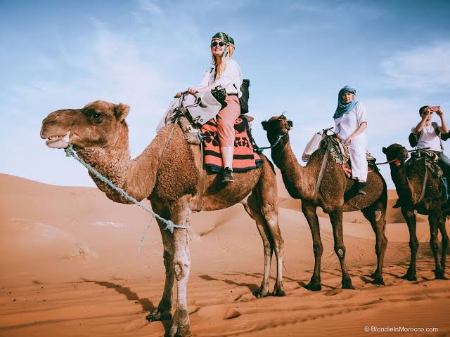 Imperial Cities and Sahara