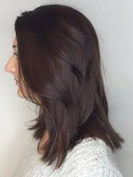 Image Result For Chocolate Brown Hair Hair Color Chocolate Chocolate Brown Hair Color Chocolate Brown Hair