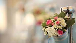 We did not find results for: Wedding Aisle Decor White Wedding Stock Footage Video 100 Royalty Free 15111775 Shutterstock