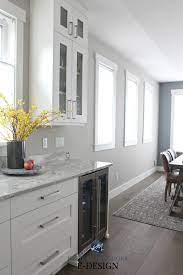 Paint Colour Review Sherwin Williams Colonnade Gray Grey Kitchen Walls Kitchen Wall Colors Home Decor