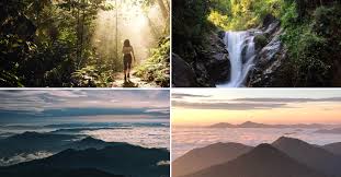 Bukit gasing is a hill and a green oasis surround by dense civilization right at the border between petaling jaya (pj) and kuala lumpur (kl). 10 Stunning Hiking Trails In Malaysia From Easy To Challenging