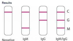 Tes antigen itu kan langsung virusnya yang dicari. Pahami Makna Hasil Rapid Test Ini Penjelasannya Health Liputan6 Com