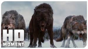 сумерки 4 скачать бесплатно в хорошем качестве на русском языке Finalnaya Bitva Sumerki Saga Rassvet Chast 2 2012 Moment Iz Filma Youtube