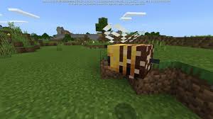 Oak and birch trees grown from saplings that are within 2 blocks of any flower have a 5% chance to grow with a bee nest. Minecraft Guide To Bees Honey Blocks Beehives Release Date And More Windows Central