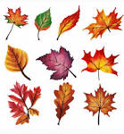 Przedszkole Samorządowe Nr 5 w Chrzanowie - Ciekawostka ...