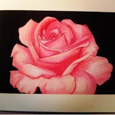 Pastel Rose Tutorial Google Search Desenhos
