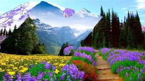 Springtime on the mountains (HD1080p) - YouTube