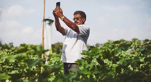 View wadhwani ai (wadhwaniai.org) location in india , revenue, industry and description. Wadhwani Ai Partners With Startups In Agritech Space
