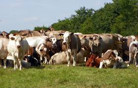 Pin On We Need To Talk