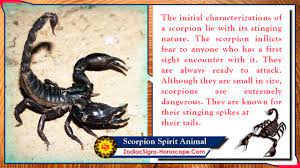 The scorpion is the symbol of this zodiac sign. Scorpion Spirit Animal Totem Meaning Messages And Symbolism Zsh