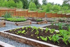 The best time to water your garden is in the morning. Best Way To Water Your Vegetable Garden Home Gardening Tips