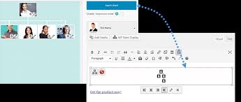 Wp Team Display Wp Team Members Plugin