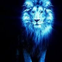 David Bedregal Z (@DavidBZMagic)