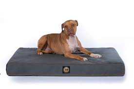 We did not find results for: Chew Proof Ballistic Orthopedic Dog Bed Gorilla Dog Beds