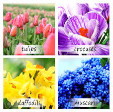 It is a common color for flowers and is usually enjoyed most when one is happy and fulfilled. Collage Of Beautiful Flowers With Names Stock Photo Picture And Royalty Free Image Image 91243216