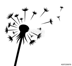 Download dandelion images and photos. Dandelion Illustration Free Download Illustration 2020