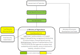 the envisaged organizational structure of the fsis in