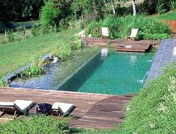 Ecological Pool Found In Https Www Facebook Com Bioaddict Backyard Pool Natural Swimming Pools Natural Pool