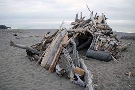 Driftwood Shelter Spotted On The Shores Of San Driftwood Beach Shacks Gualala