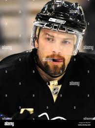 Sýkora hi-res stock photography and images