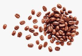Coffee Bean Espresso Transparent Background Coffee Beans Png Png Download Transparent Png Image Pngitem Coffee bean png & psd images with full transparency. transparent background coffee beans png