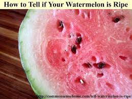 Aug 08, 2020 · you need to know how to tell if a watermelon has gone bad. How To Tell If A Watermelon Is Ripe 4 Tips To Pick A Good Watermelon Watermelon Watermelon Plant How To Store Watermelon