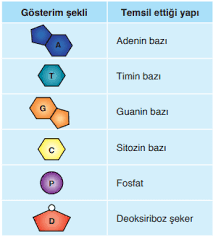 8 Sinif Fen Bilimleri Insanlarda Ureme 1 Unite Sorularla Unite Ozeti Teog Calis Ders Calisma Ipuclari Egitim Felsefesi Egitim Teknolojisi