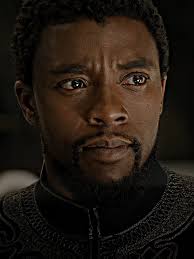 Bro as Black Panther in Black Panther 2