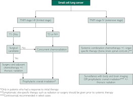 Current Diagnosis And Management Of Small Cell Lung Cancer Mayo Clinic Proceedings