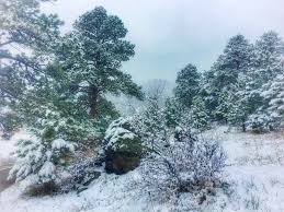 April Snow Showers A Drenched Landscape April Snow Landscape Snow