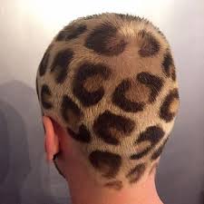 From jackie o to snooki, the appeal of leopard print is practically universal. Leopard Print Hair Leopard Print Hair Shaved Hair Designs Bald Hair