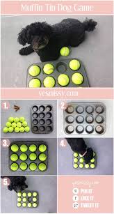 Dog Games Muffin Tin Treat Game Dog Games Diy Dog Stuff Diy Dog Toys
