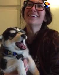 Sharon Hurwitz Herrmann