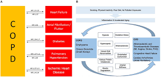 Image result for Medications in COPD Management