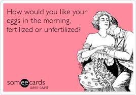 I really liked fried eggs a lot, and scrambled eggs too. How Would You Like Your Eggs In The Morning Fertilized Or Unfertilized Flirting Ecard