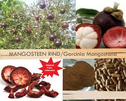 Image result for Garcinia mangostana