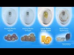 Just like many other toto toilets, this one comes with outstanding features.the toto carolina ii is a luxury toilet with lots of advanced features.this toilet has lots of features similar to toto aimes.although, you can consider buying toto carlyle ii, which is less expensive & similar features but. Carolina Ii One Piece Toilet Elongated Bowl 1 28 Gpf Totousa Com