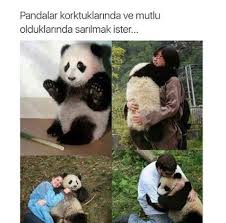 Benim Icimdeki Panda Hayata Kusmus Pandalar Komik Kedi Resimleri En Komik Fotograflar