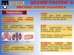 Nota sains tahun 4 (kssr) 1. Nota Sains T4 Kami Guru Malaysia Facebook