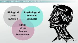 What Is The Biopsychosocial Model Definition Example